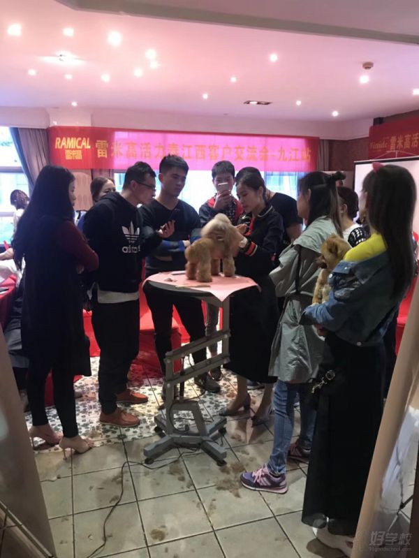 南昌宠物美容C+B连读培训班