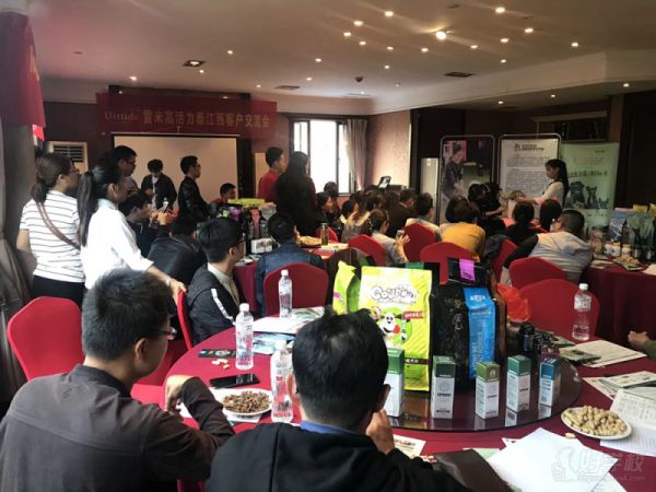 教学现场南昌宠物美容C+B连读培训班