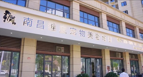 南昌宠物美容C+B连读培训班