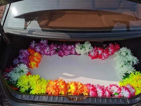 南京高淳实体门店宠物火化