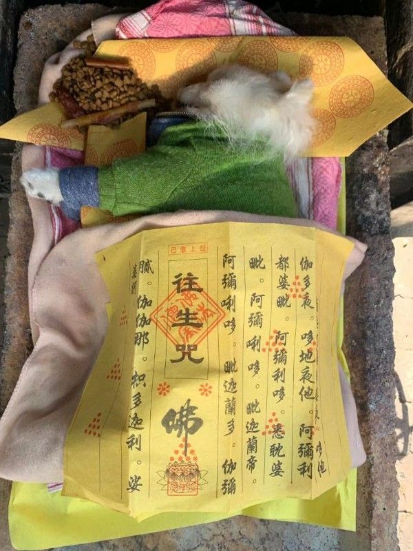 南京高淳实体门店宠物火化