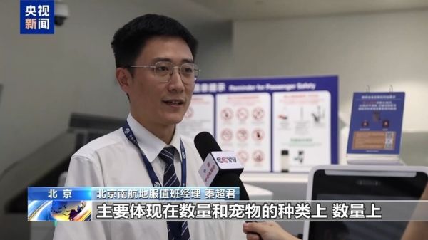 暑运宠物出行服务升级 还有“毛孩子”专属特色游上新