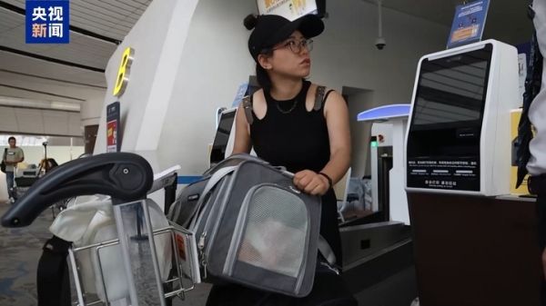 暑运宠物出行服务升级 还有“毛孩子”专属特色游上新