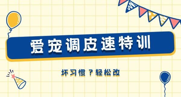 宠 物美容培训学校机构