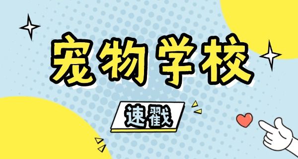 宠 物美容培训学校机构