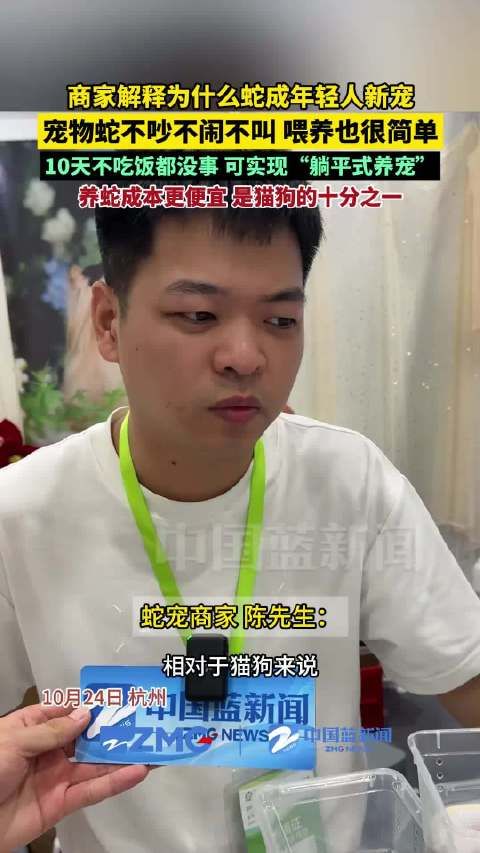 华东宠物展宠物蛇受00后青睐，商家称躺平式养宠成本低