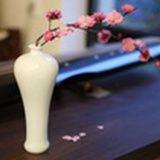 阳光