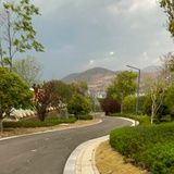 你他