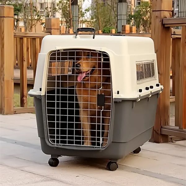 猫运输专车: 猫托运汽车托运