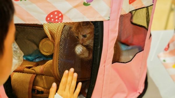 “余生有你” 公益领养落地中原万达 心粮用爱为流浪动物筑家