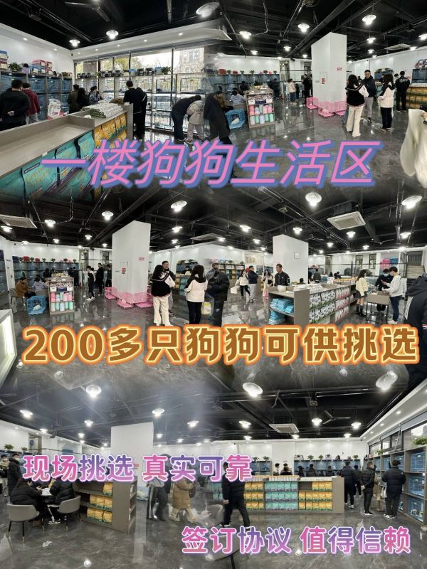 1509dc9ac66113aac78d8c195e9e327.jpg