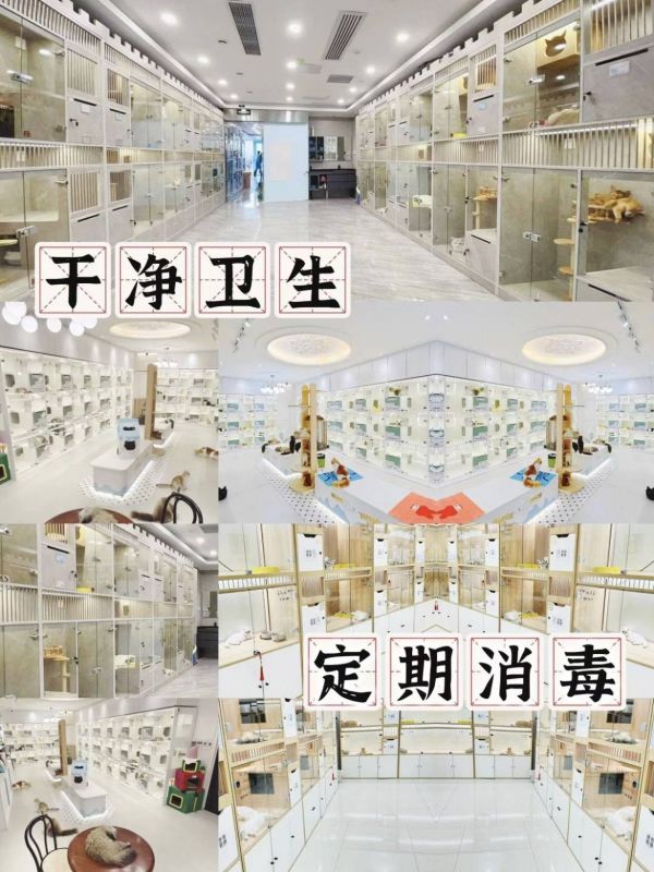 97d414edcb3ab3dfe1e22dab7709749.jpg
