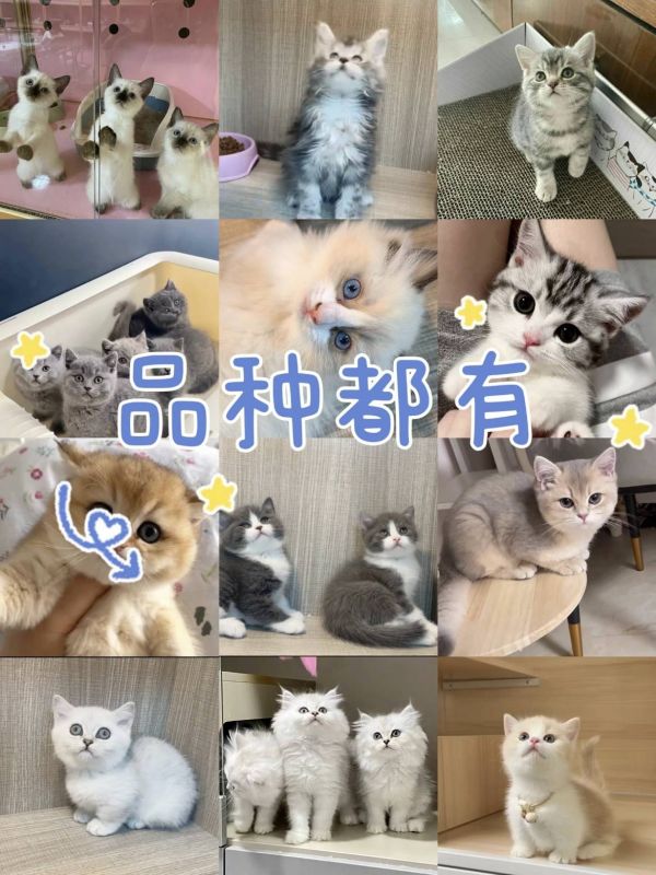 5ad5c632056d76f85733ae23e8c373c.jpg