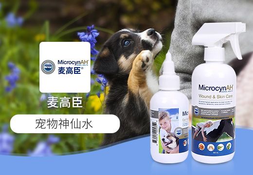 麦高臣