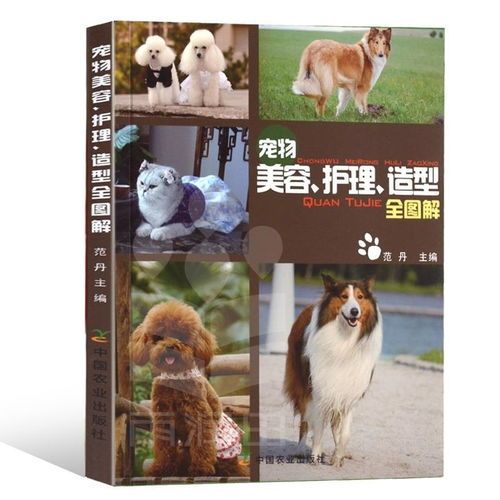 宠物美容画图：如何让你的宠物更可爱？宠物美容DIY教程和技巧