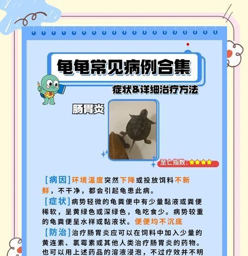 宠物豹龟拉肚子了怎么办（细心呵护）