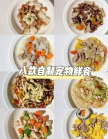 8款宠物鲜食详细教程
