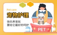 宠物护理