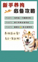 新手养狗攻略