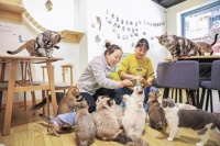 小宠物“萌动”大市场