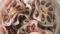 宠物食谱怎么做