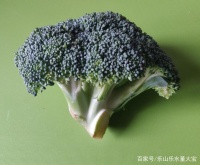 DIY自制狗狗营养餐