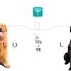 【步骤图】狗狗食谱：自制狗狗营养餐、狗狗辅食的做法