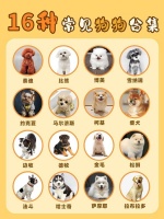 犬类品种大全