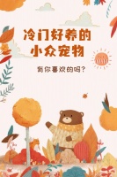 冷门好养的小众宠物，有你喜欢的吗？