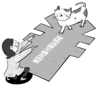 宠物消费惹纠纷 合同细节需谨慎