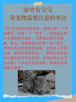 家中有宝宝,养宠物需要注意的事宜