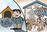 记者调查“星期宠”售卖乱象:买来的宠物犬为何没活过一周?