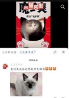 卫龙魔芋爽跨界出圈:宠物主与猫咪共享快乐