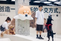 深圳:发力“它经济” 竞逐“新蓝海”