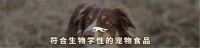 “多事之秋”の宠物养护知识分享