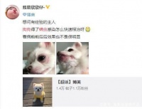 分享:人和宠物常见病理知识,引起上万人讨论!