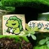 铲屎官容易犯的几种错,快看看你中了几条~。#科学养宠攻略 #
