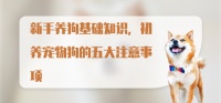 新手养狗基础知识,初养宠物狗的五大注意事项