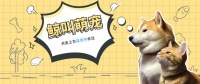 汇姐说萌宠:新手养宠物的第一步必备的是做什么?