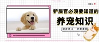 新手铲屎官必须知道的养宠知识!这些赶快收藏起来~