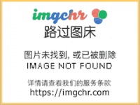中国十大宠物食品公司