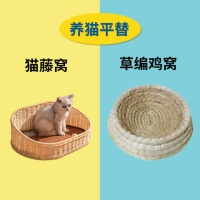 宠物用品有哪些平替?