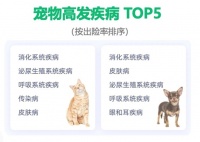 给猫猫狗狗看病平均单次要花2000多!养宠成本怎么缓解?