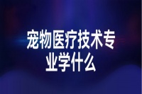 宠物医疗技术学什么