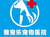 宠物医院创业,专业、利润双丰收!