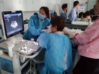 宠物临床诊疗技术专业