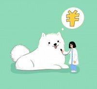 看一次动辄上千元,宠物医疗怎成“糊涂账”?