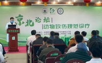 昌平首个动物致伤专家门诊落地 专家详解受伤后的“关键动作”