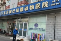 北京宠物美容培训中心哪个好