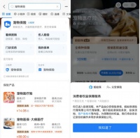 问题不少!记者调查众安保险、国泰产险的宠物医疗险发现……